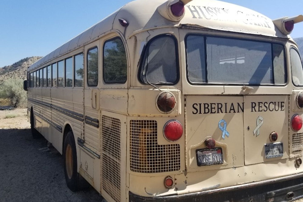 You Just Bought A Yellow School Bus, Now What? - bus conversion photo