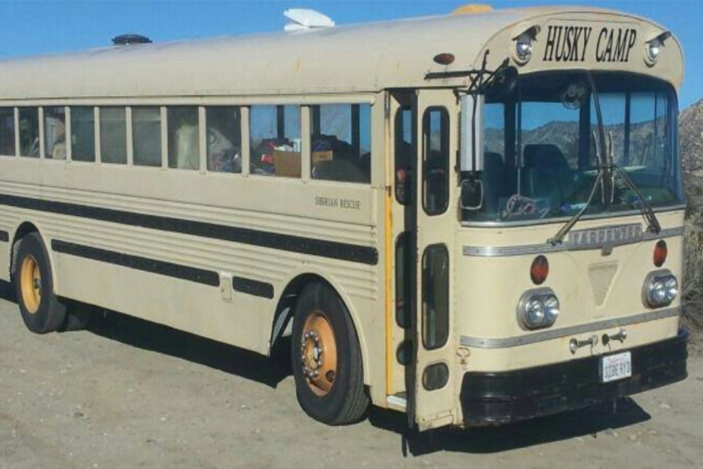 You Just Bought A Yellow School | BCM photo