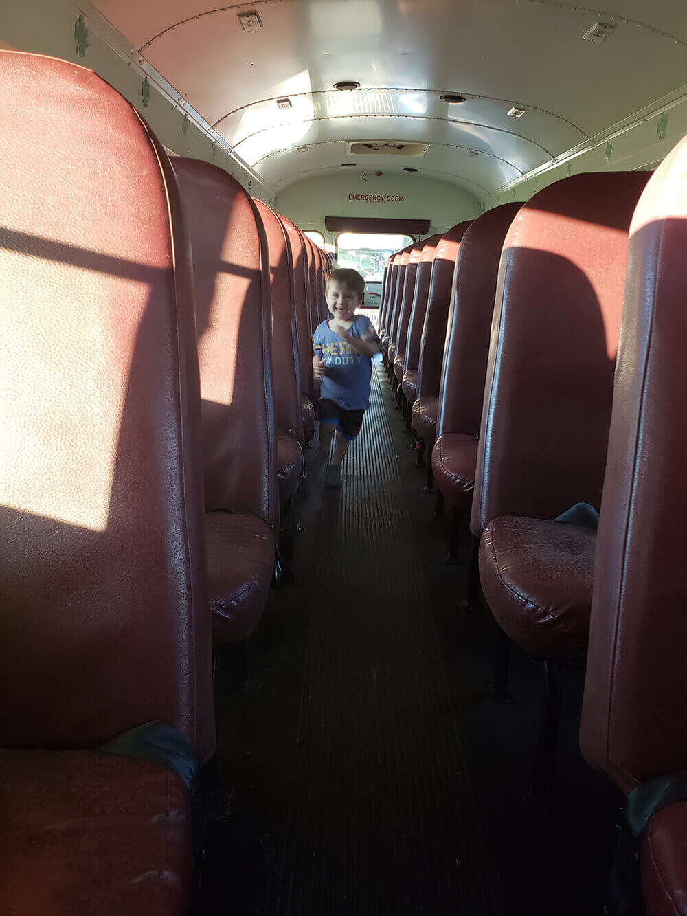 Time to Go Adventure – A 2002 Blue Bird/International 3800 Skoolie - bus conversion photo