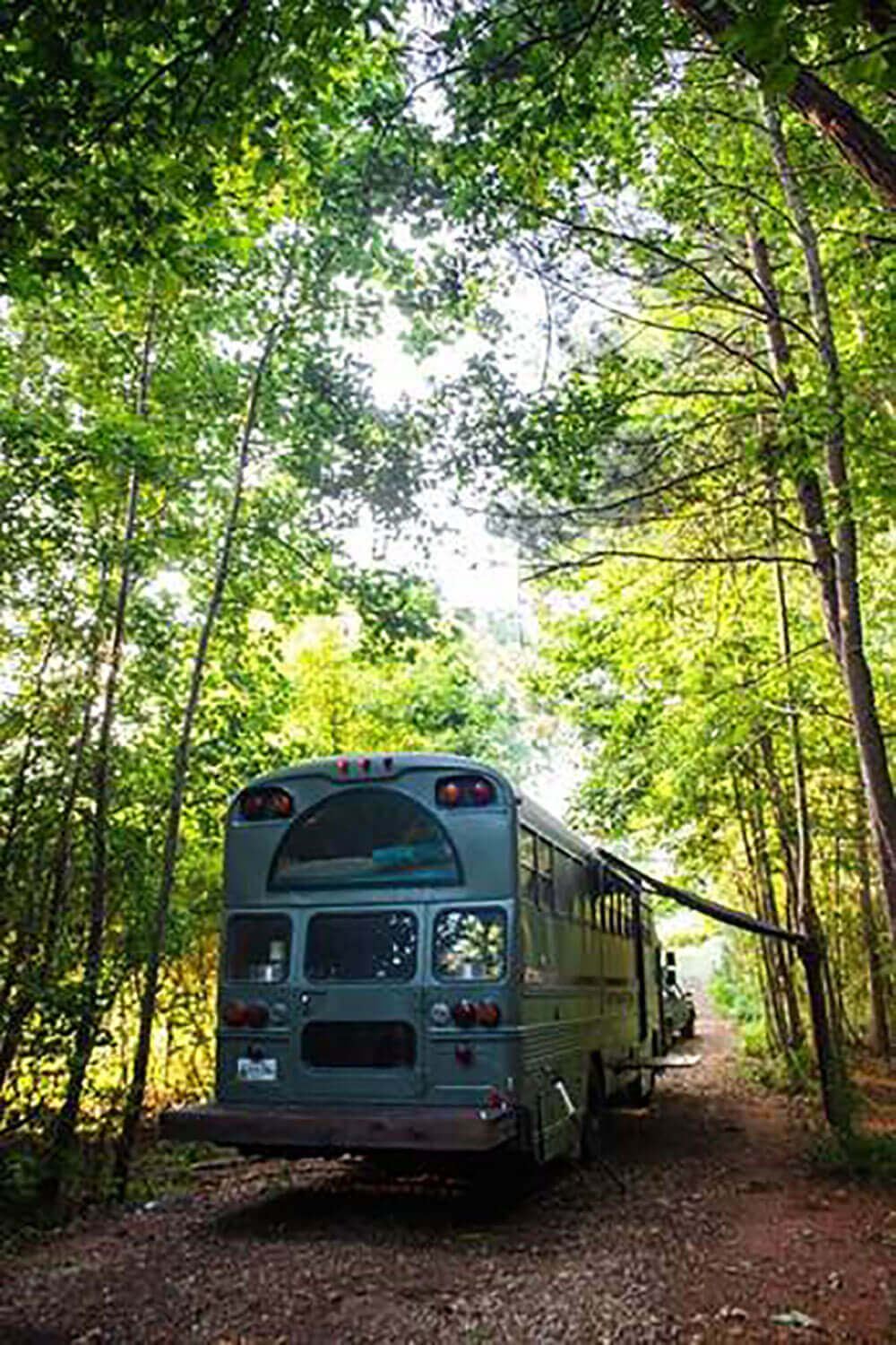 Exterior rear-view of the bus with a fresh paint job.