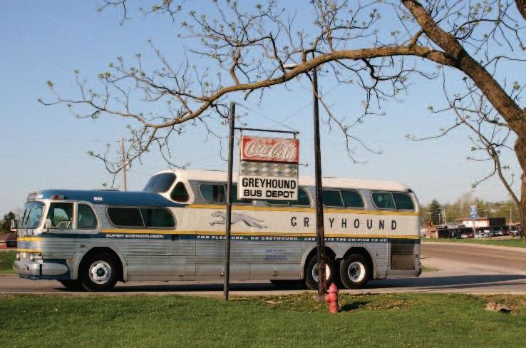 Greyhound-1