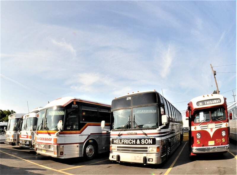 Bus Festival | BCM photo
