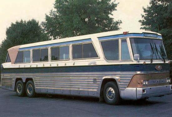 greyhound-2