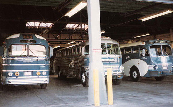 Greyhound’s Historical Fleet for Sale - bus conversion photo
