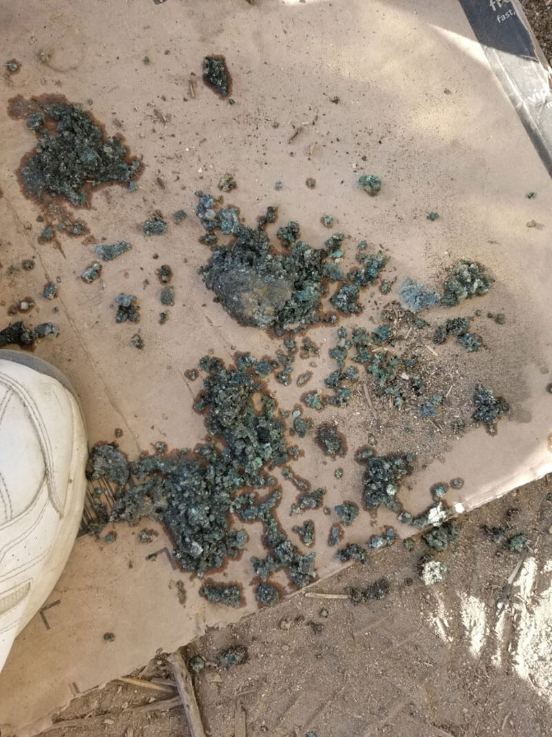 Kitty litter corrosion in the cooling system.