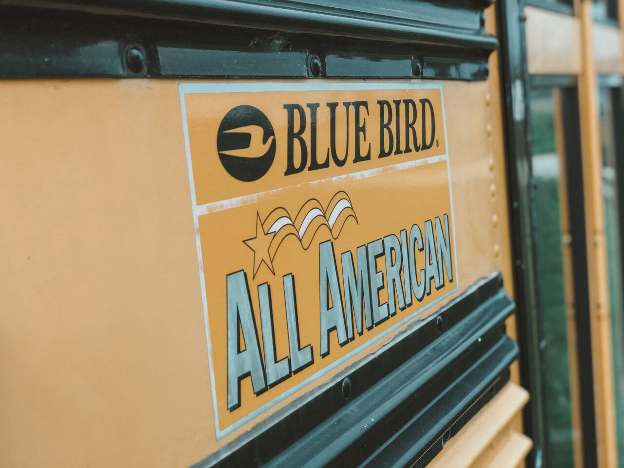 The Roaming Fowler Bus A 2004 Blue Bird All-American  - bus conversion photo