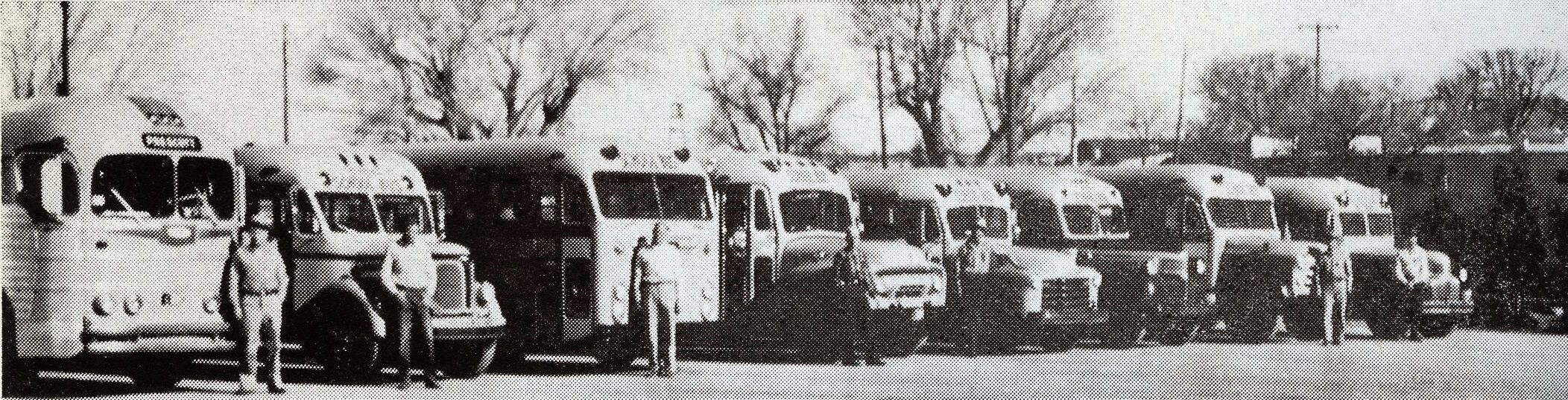 Prescott School bus fleet circa 1958.  Bus #4, third from the right.