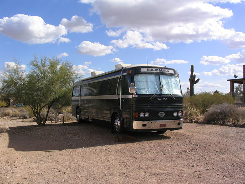 Bus-osaurus | BCM photo