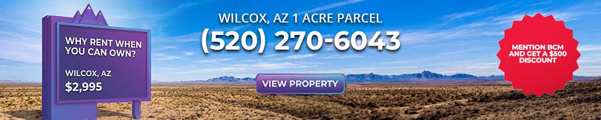 Blue mountain banner 1