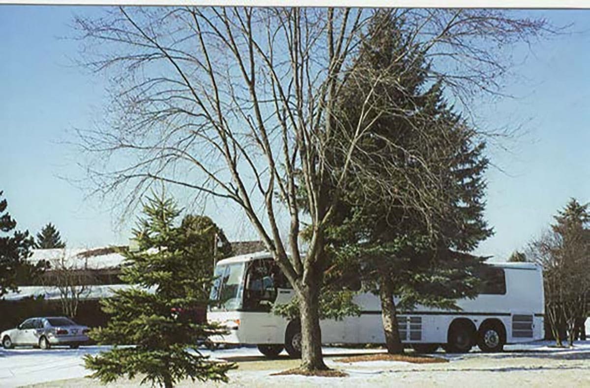 Goodbye Dina, Goodbye My Dreams - bus conversion photo