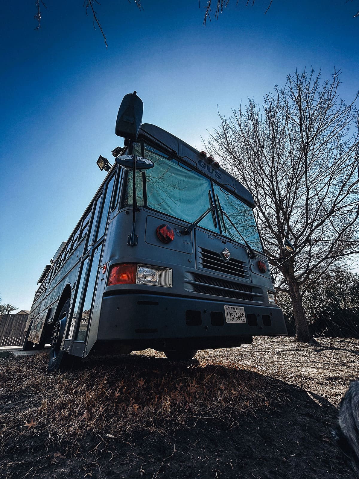 Gus – A 2002 International Skoolie - bus conversion photo