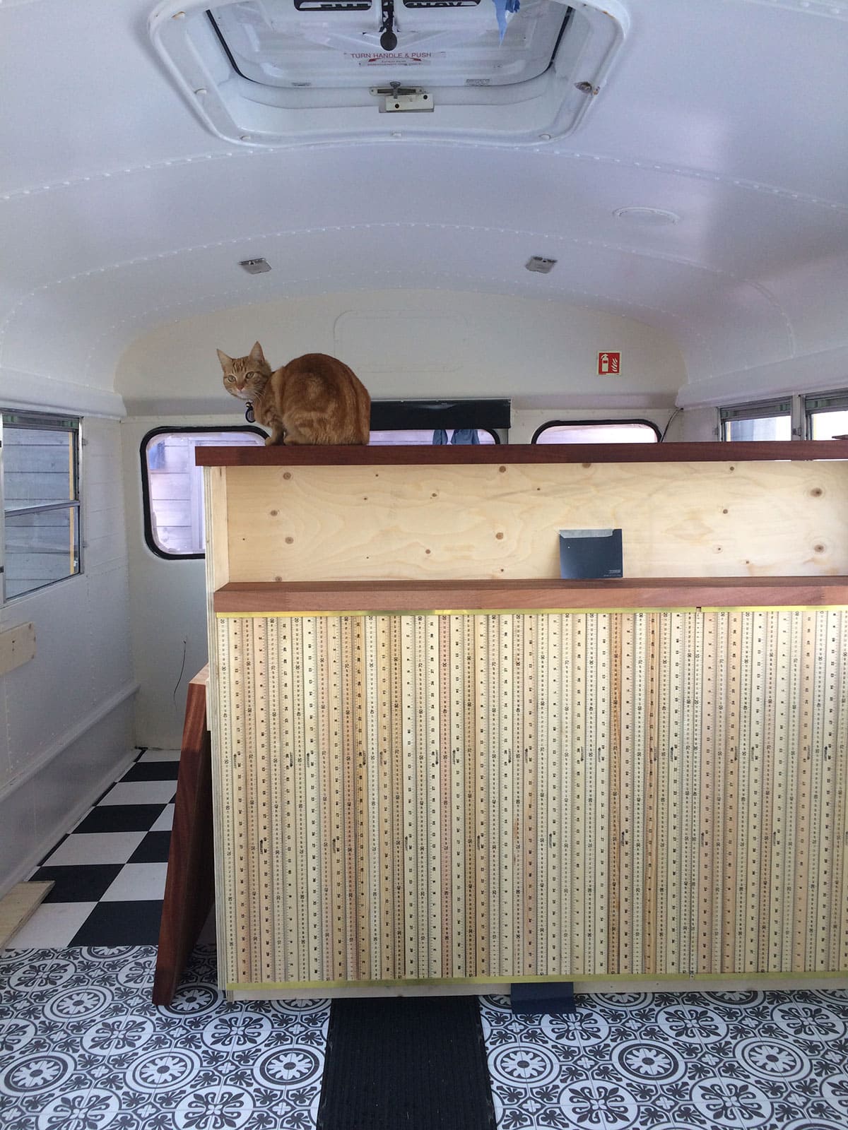 Jeffrey the cat testing the counter!
