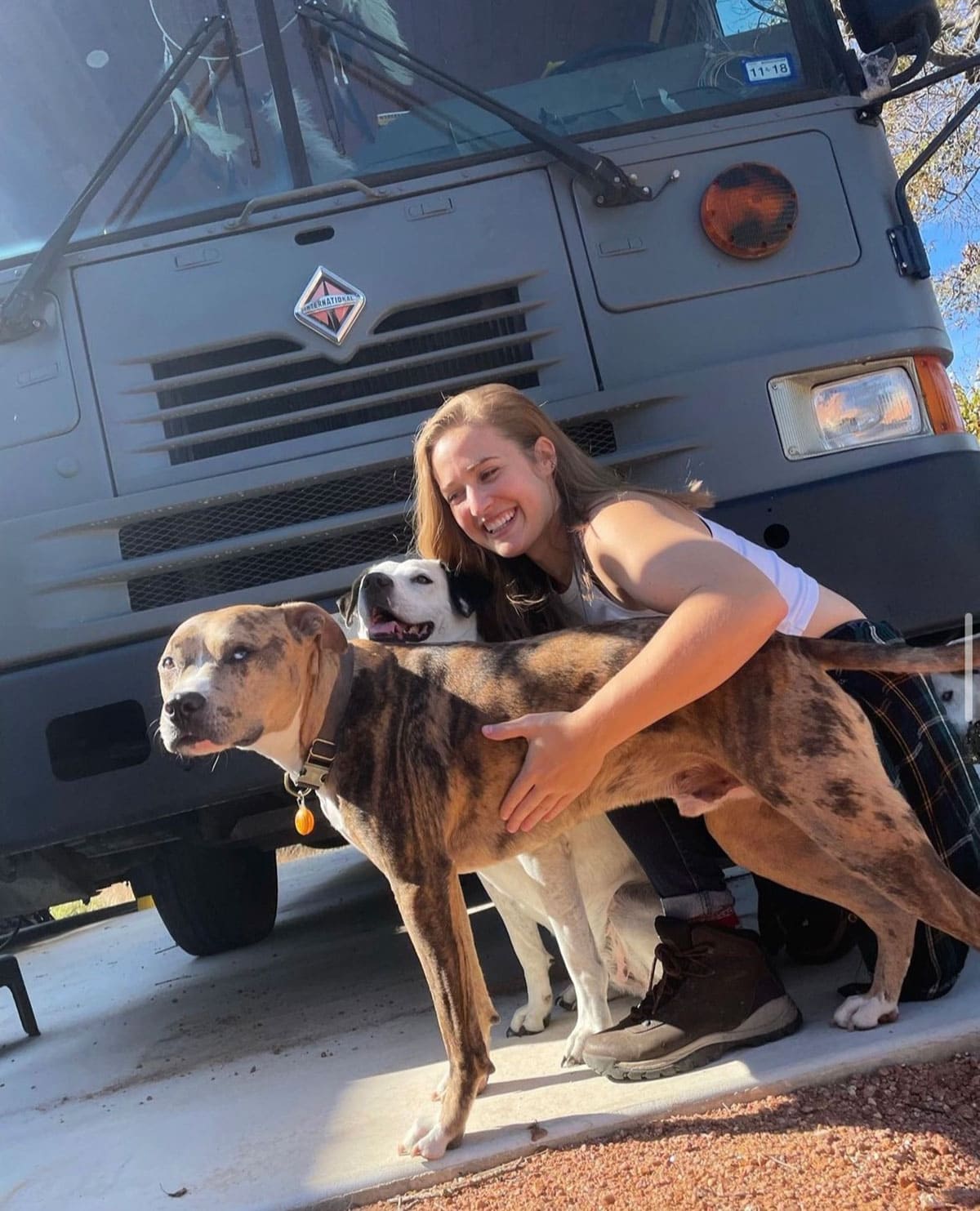 Gus – A 2002 International Skoolie - bus conversion photo
