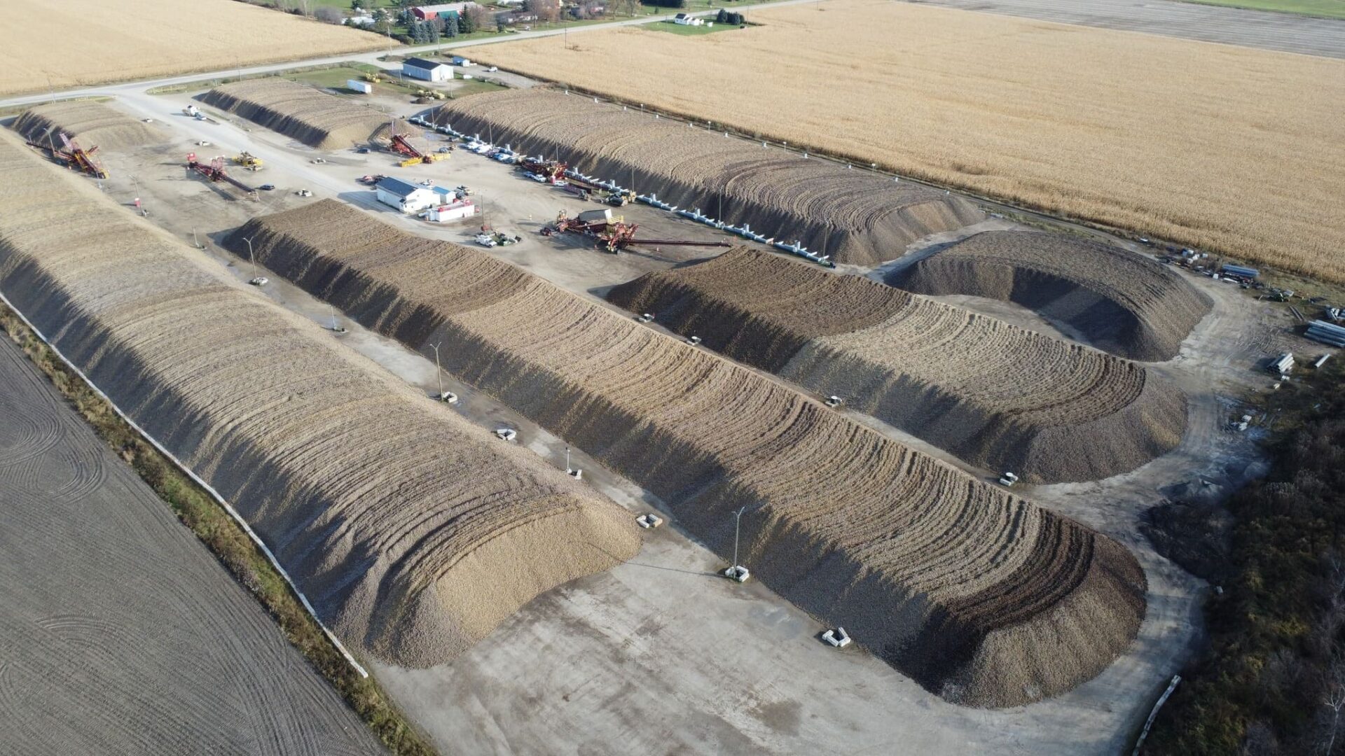 The Sugar Beet Harvest | BCM photo