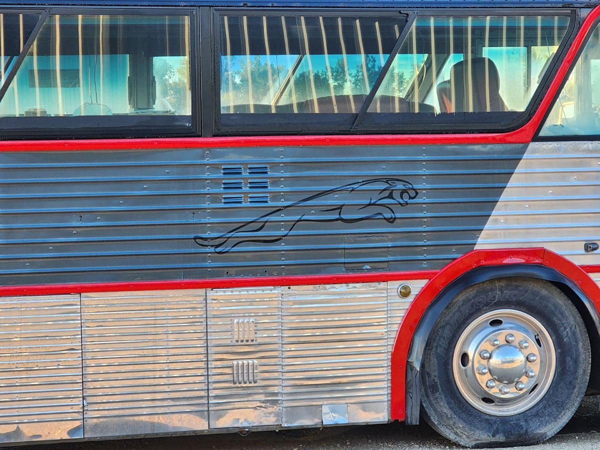 
Notice the custom paintwork like a ‘Jaguar Leaper’.